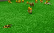 chicken with its head chopped off gif